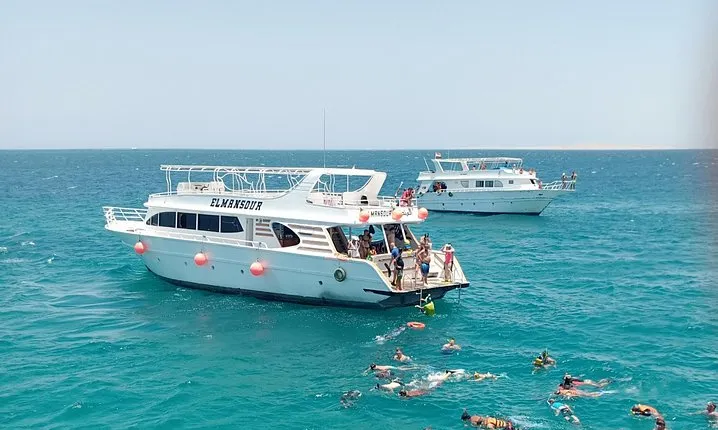 Meet the dolphins in snorkeling tour