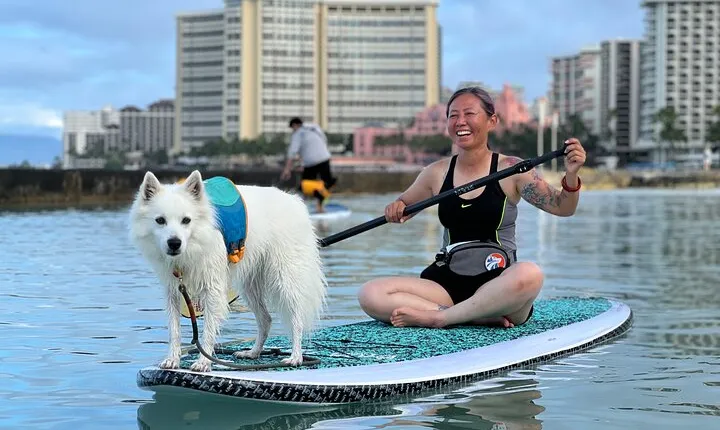Paddle board Ala Moana with Rescue Dogs
