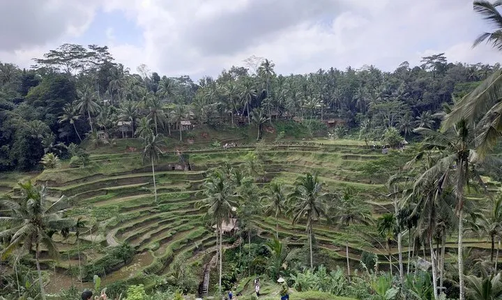 Ubud, Kintamani Volcanos Bali tour
