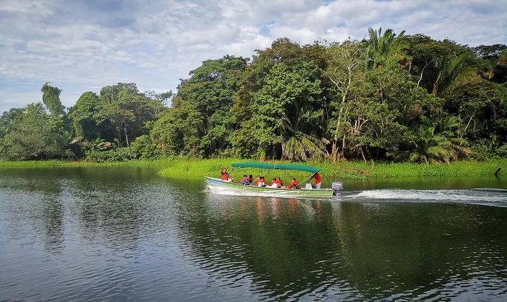Panama Canal Wildlife Boat Safari & Panamanian Brunch