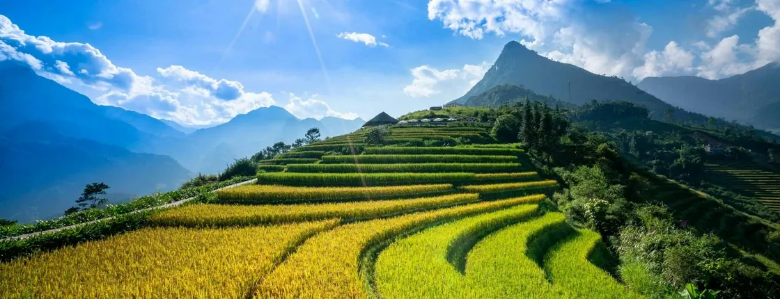 Sapa and Fansipan private 3-day experience with homestay