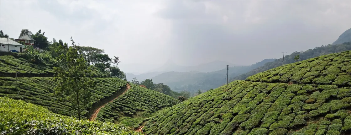 Southern Delights: Bangalore to Trichy