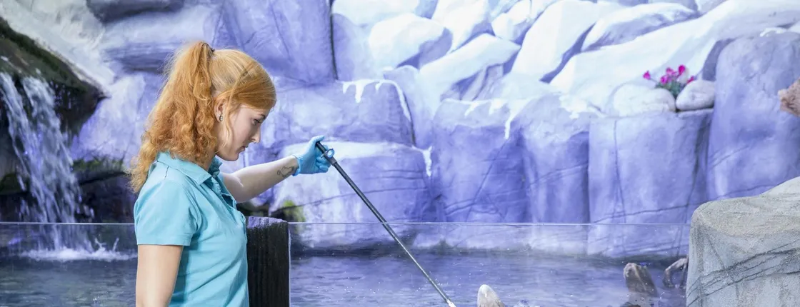 SEA LIFE Oberhausen tickets with behind-the-scenes tour