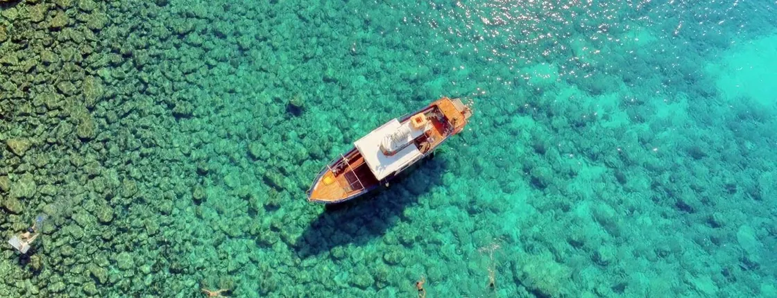 Mini-Cruise of the Coral Riviera