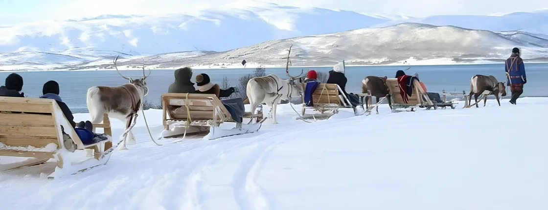 Sami Culture Experience with 10-Minute Reindeer Sledding