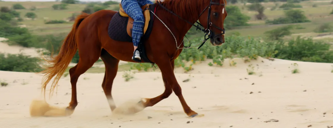 Boa Vista horse riding experience