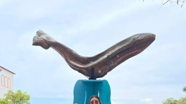 Half-Day Tour in Todos Santos from San José del Cabo