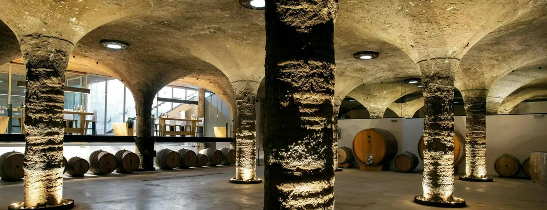 Guided Vineyard Tour and Wine Tasting on Lipari Island