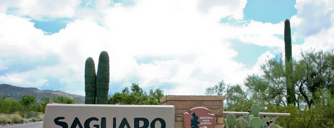 Audio-guided driving tour to Saguaro National Park