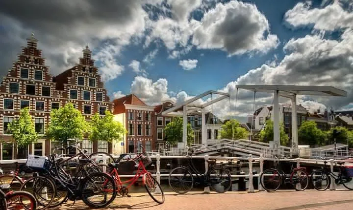 Haarlem Old Town Private Walking Tour 