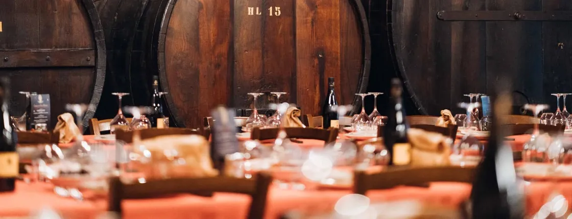Wine experience with typical lunch in a farm vineyard