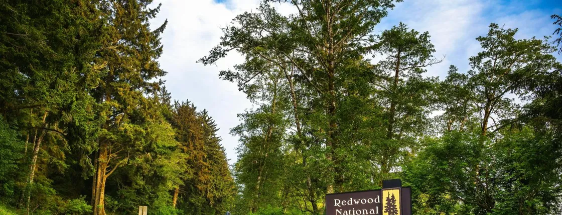 Audio-guided driving tour to Redwood National & State Parks