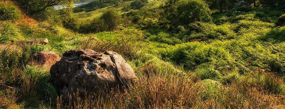 Killarney self-guided cycling tour