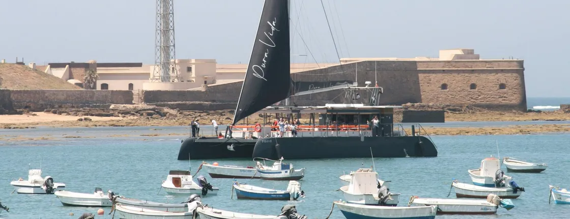 Sunset catamaran experience in Cadiz with one drink