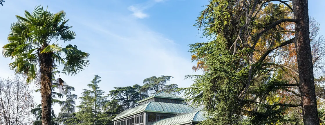 Villa dei Cedri Thermal Park Verona - Entrance