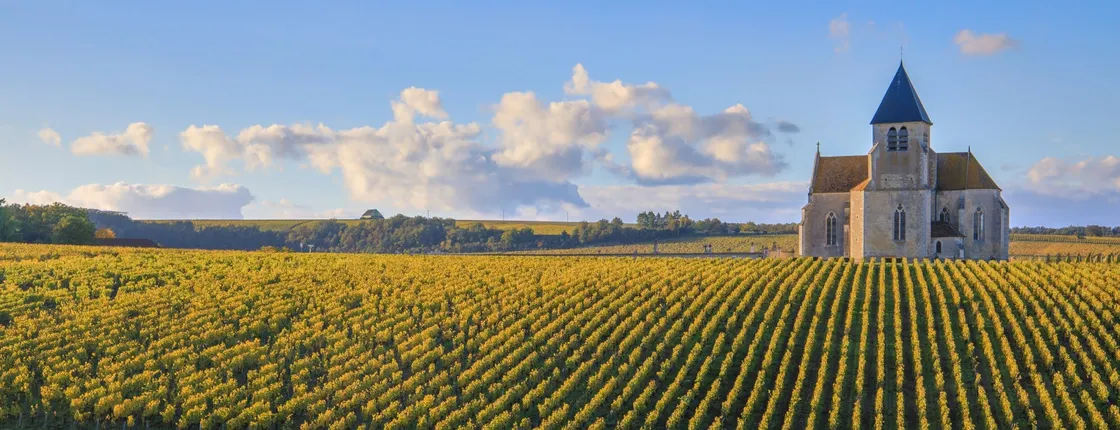 Visit of the Domaine Clotilde Davenne and Chablis wine tasting session