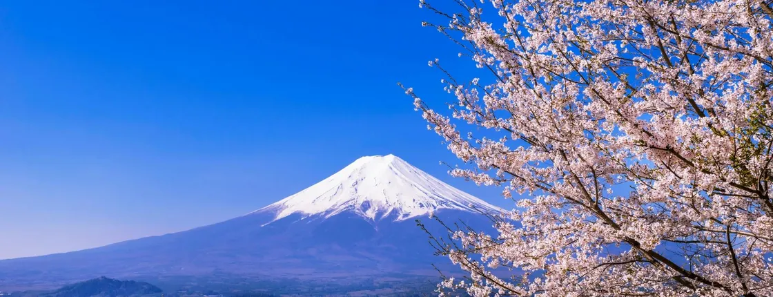 Mount Fuji and Oshino Hakkai Tour with Optional Hot Springs or Outlet