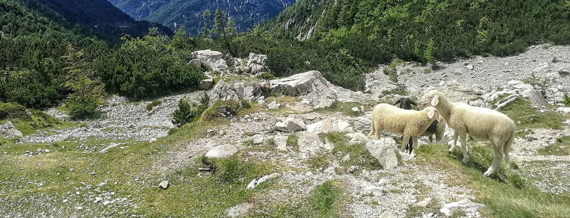 Julian Alps Tour