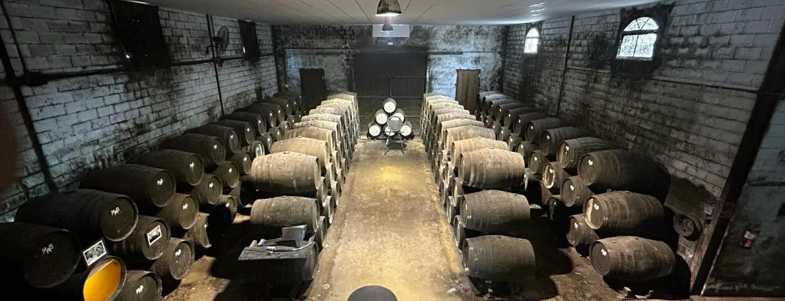 Winery tour and wine tasting in Chiclana de la Frontera in Cádiz