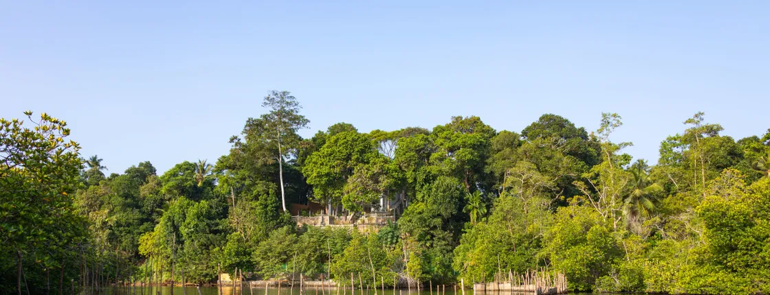 Madampe Ganga boat safari