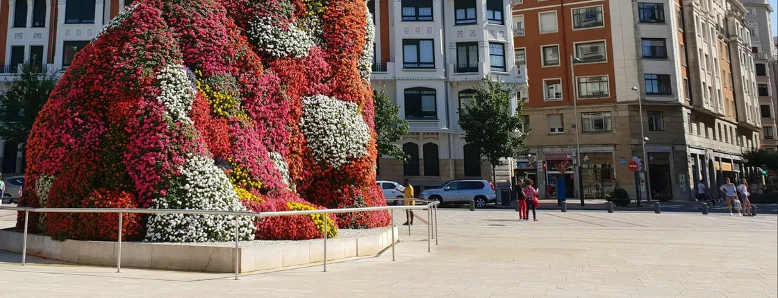San Sebastian, Bilbao and Guggenheim tour from Biarritz or Bayonne