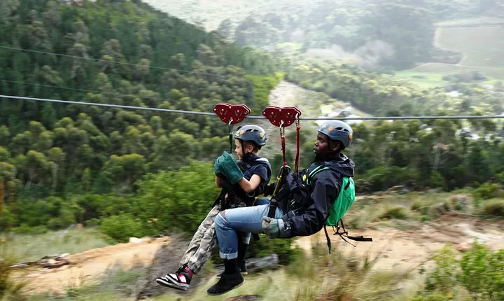 Zipline Cape Town - From Foot of Table Mountain Reserve 