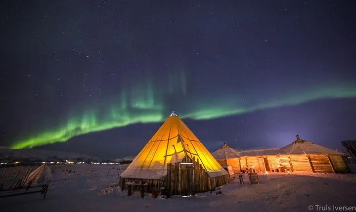 Night reindeer sledding with dinner and northern lights