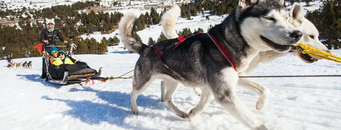 El Tarter area husky sleigh ride experience