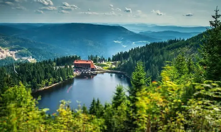  Black Forest. From Baden-Baden to Strasbourg. Two countries in one day