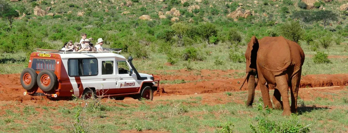 Tsavo East Safari with Overnight Stay at Ashnil Aruba Lodge