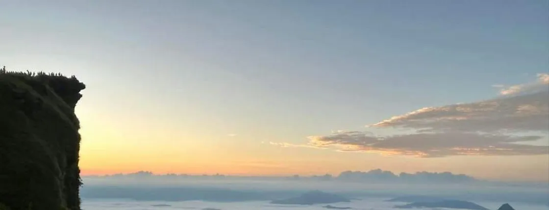 Phu Chi Fah sunrise and Doi Pha Tang guided day-trip
