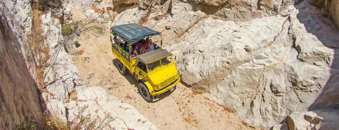Baja desert trek and camel tour