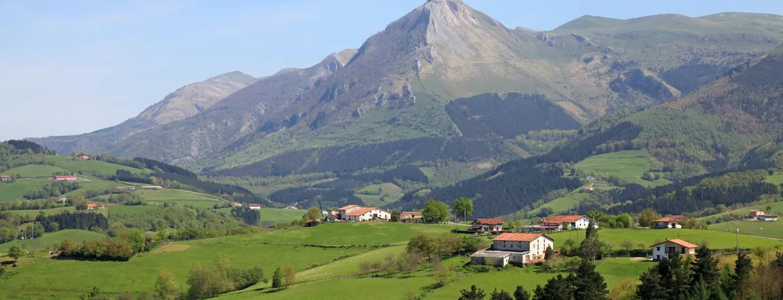 Idiazabal Basque cheese tour from San Sebastian