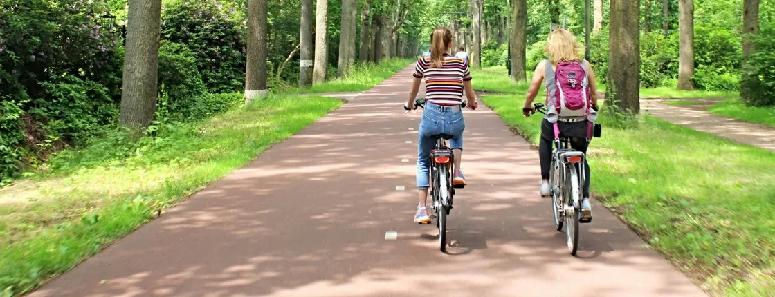 Eindhoven Highlights 2-Hour Bike Tour with Local Guide