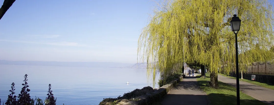 Tour of the Instagrammable spots of Montreux with a local