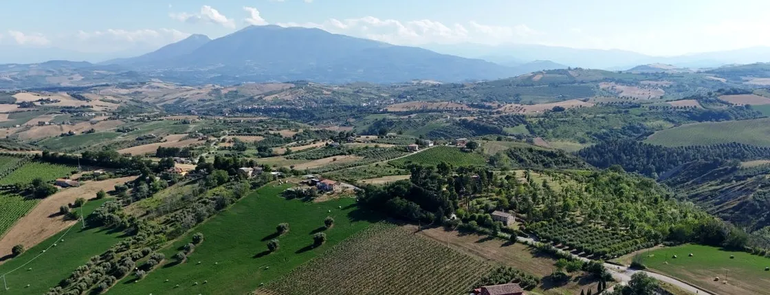 Cantina D'Erasmo Guided Tour with 3 Signature Wine Tastings