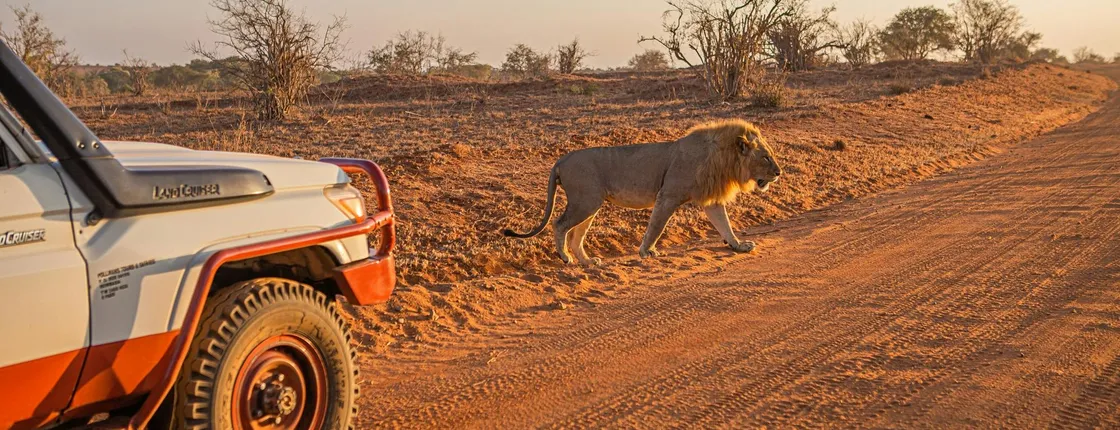 Tsavo East, Taita Hills and Salt Lick three-day safari from Mombasa