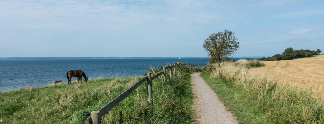 Self-guided tour all around Øresund