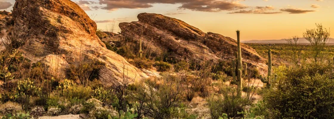 Saguaro National Park Self-Guided Driving Audio Tour