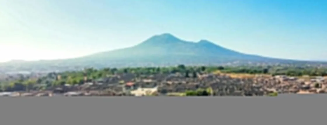 Pompeii archaeological site half-day tour with a local guide and optional transfers