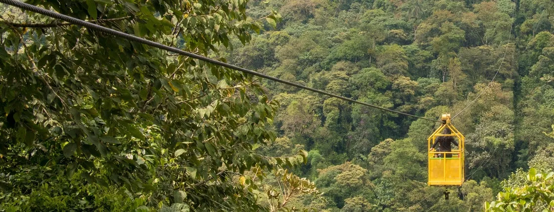 Mindo full-day tour with butterfly garden and cloud forest