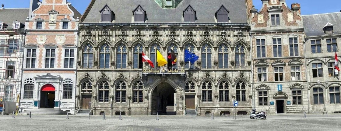 Mons 2-hour intro walking tour with a local