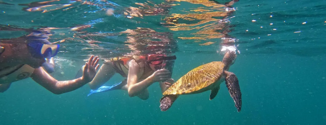 Fujairah snorkelling experience with transfer from Dubai