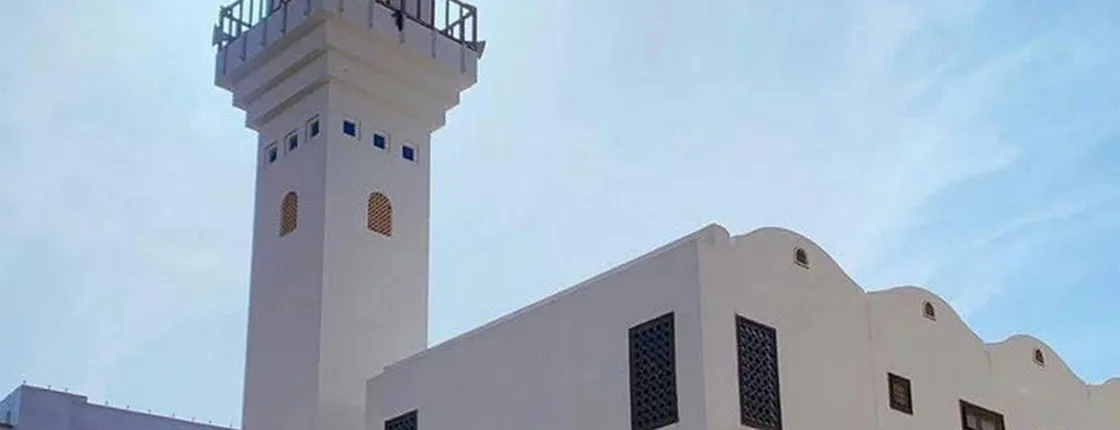 Madinah guided tour without lunch