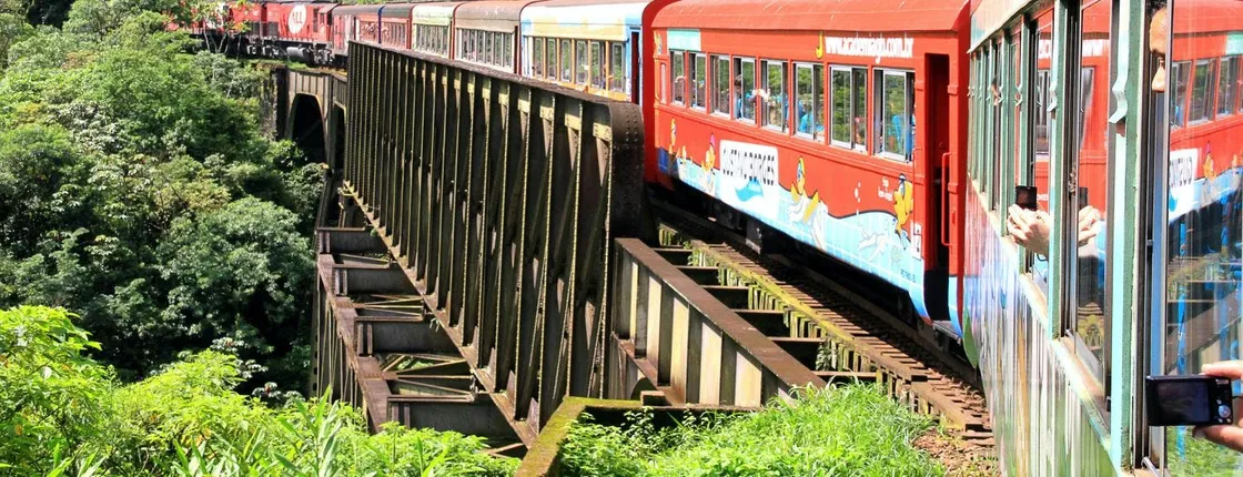 Morretes guided excursion by train with typical lunch