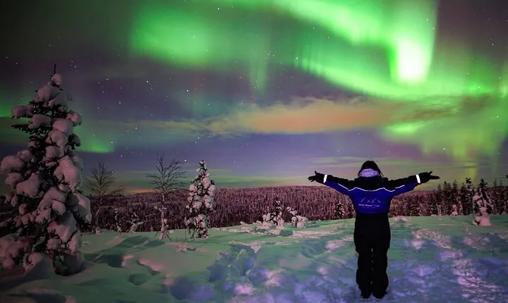 Northern Lights Wilderness Small-Group Tour from Rovaniemi 