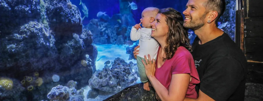 Entrance tickets to discover Hannover Sea Life Aquarium