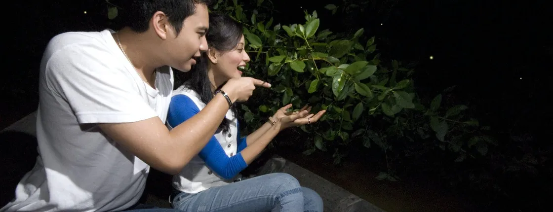 Batu Caves, Bukit Melawati and the fireflies private tour with dinner