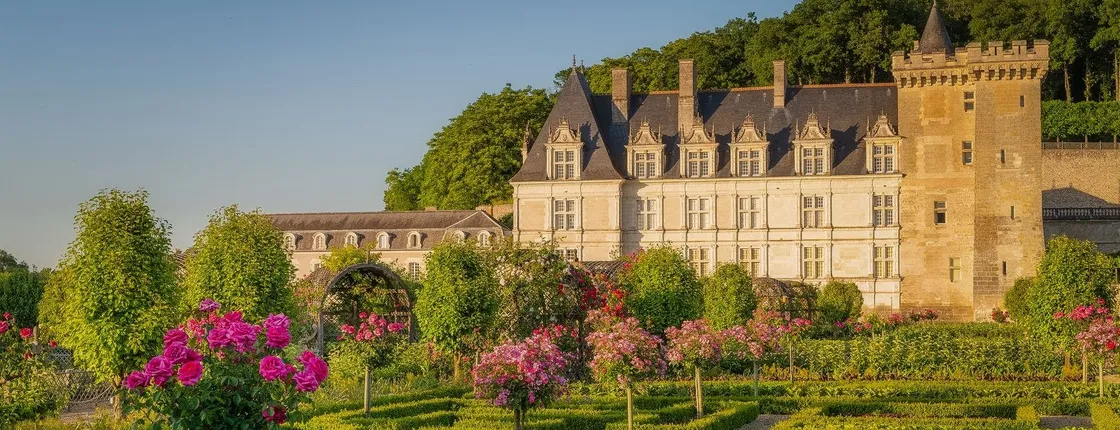 Entrance ticket to Château de Villandry and gardens