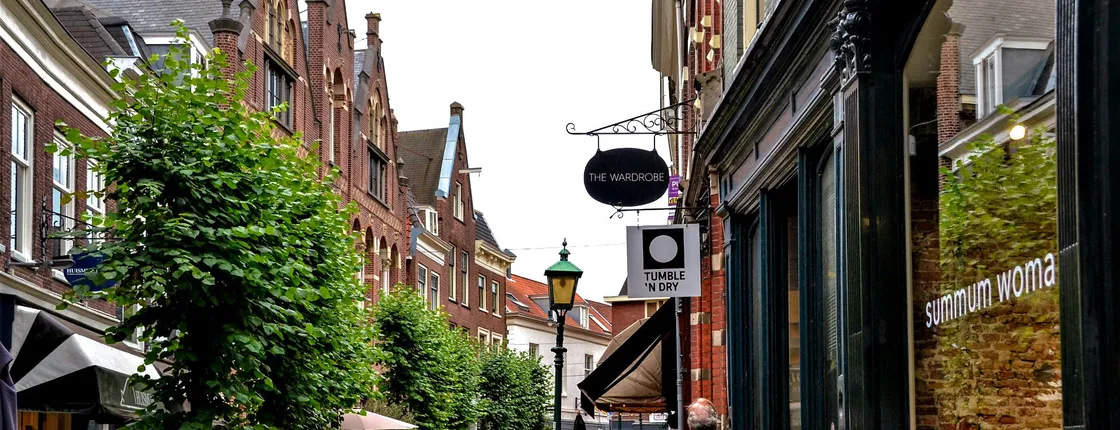 Self-guided Discovery Walk in Haarlem secrets of its Golden Streets